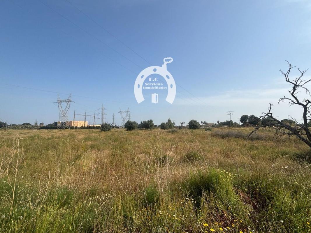 Terreno en venta en Elche / Elx, Alicante photo 5