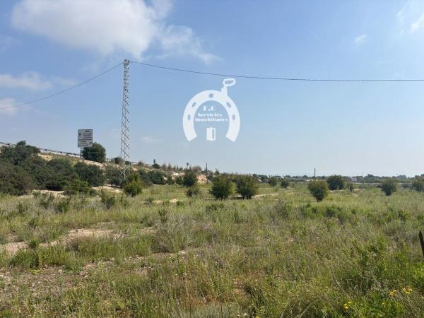 Terreno en La Marina, Elche / Elx photo 1
