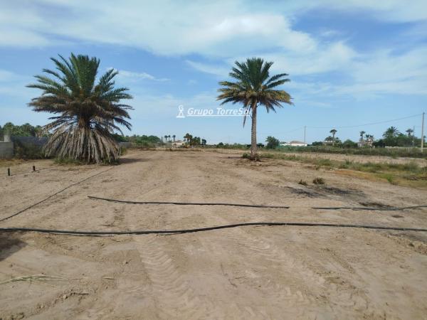 Terreno en La Hoya-Daimes-El Derramador, Elche / Elx photo 1