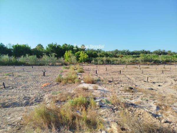 Terreno en La Hoya-Daimes-El Derramador, Elche / Elx photo 2