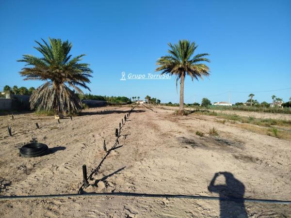 Terreno en La Hoya-Daimes-El Derramador, Elche / Elx photo 4