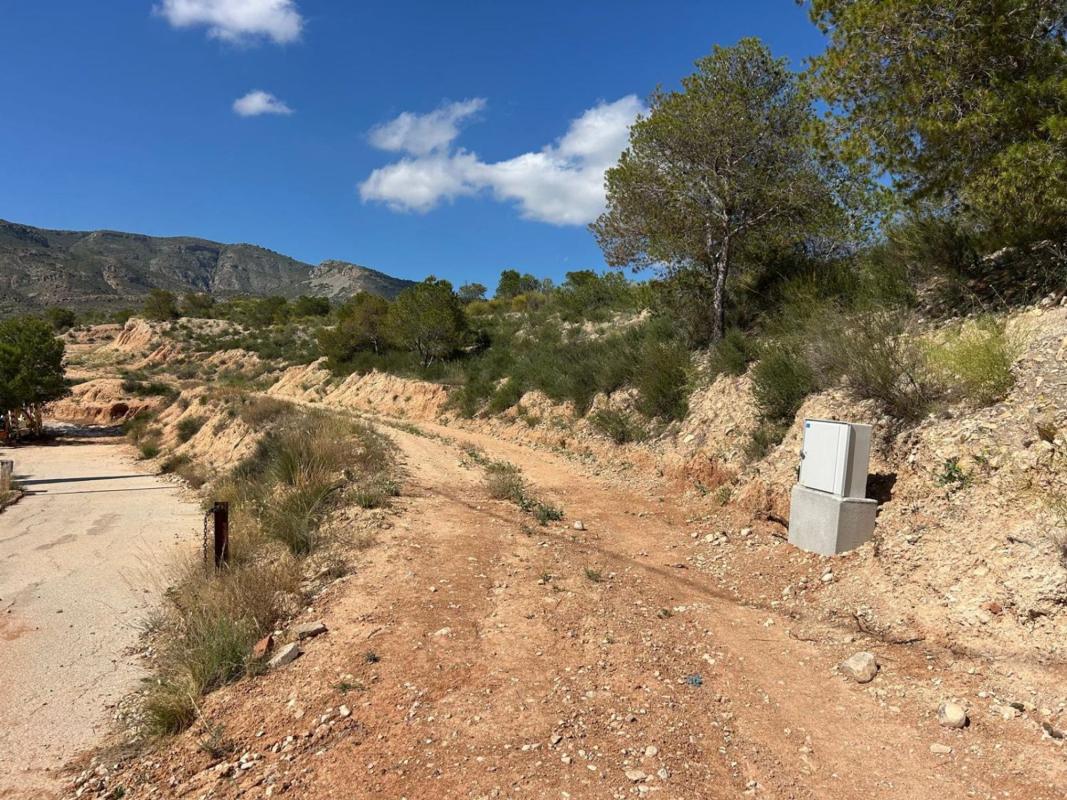 Land for sale in Crevillente, Alicante photo 1