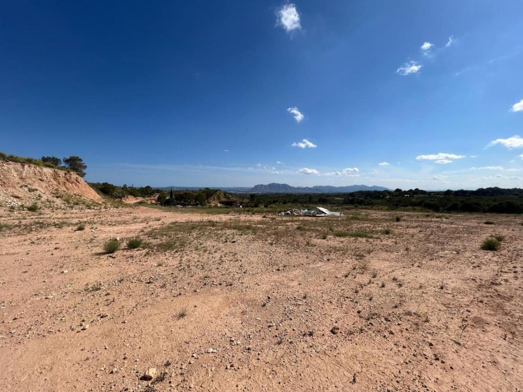 Land for sale in Crevillente, Alicante photo 2