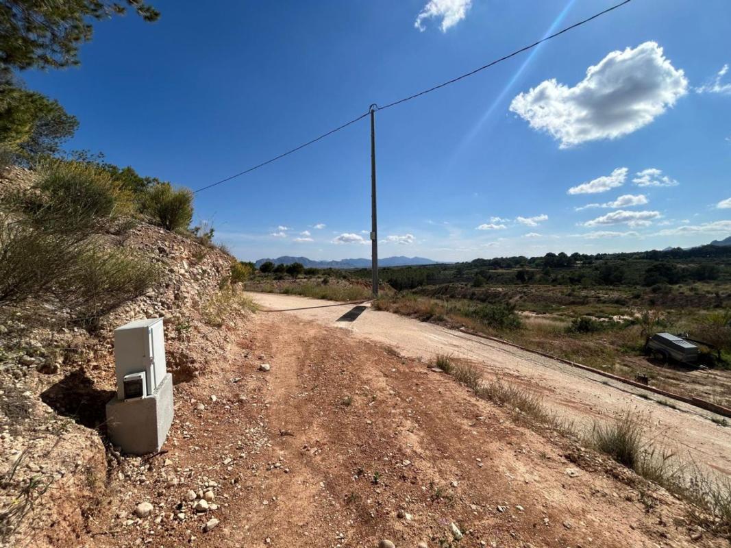 Land for sale in Crevillente, Alicante photo 4