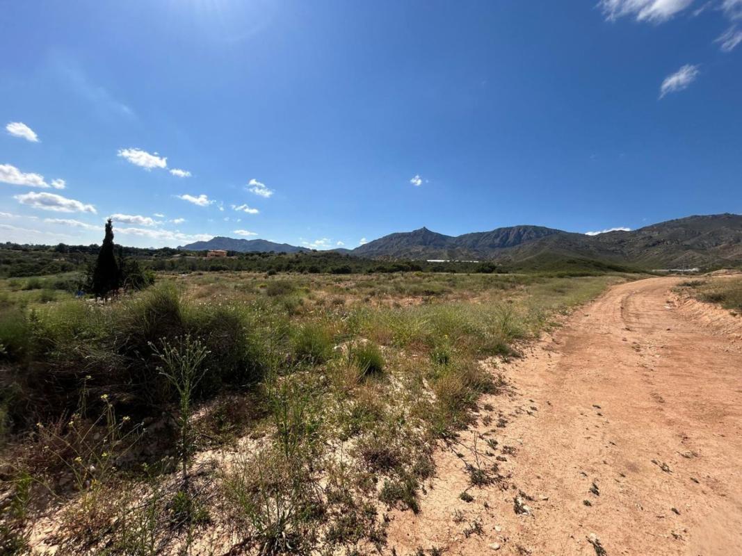 Land for sale in Crevillente, Alicante photo 5