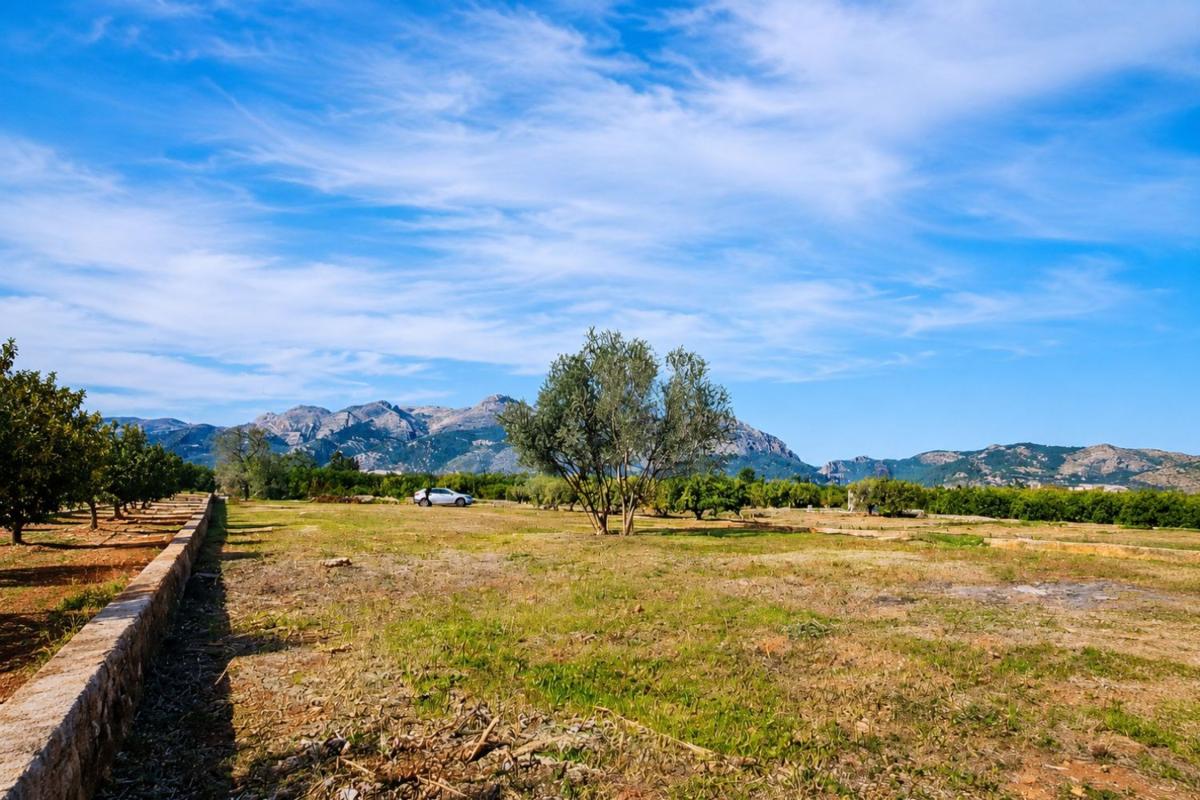 Działka na sprzedaż w Benidoleig, Alicante photo 1