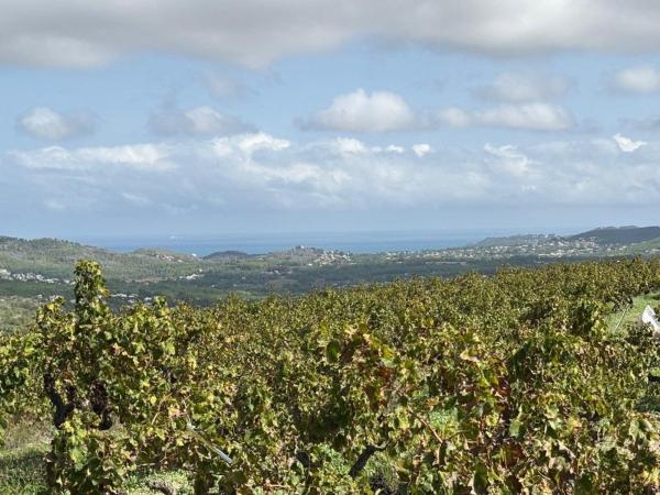 Terreno en Benimeit-Tabaira, Moraira photo 1