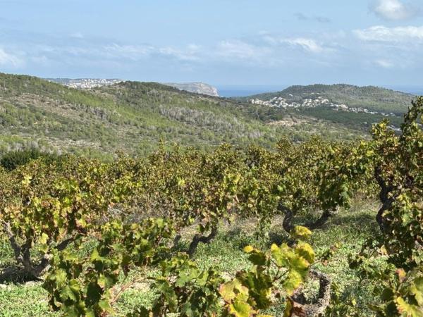 Terreno en Benimeit-Tabaira, Moraira thumbnail 1