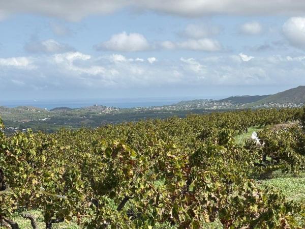 Terreno en Benimeit-Tabaira, Moraira photo 4