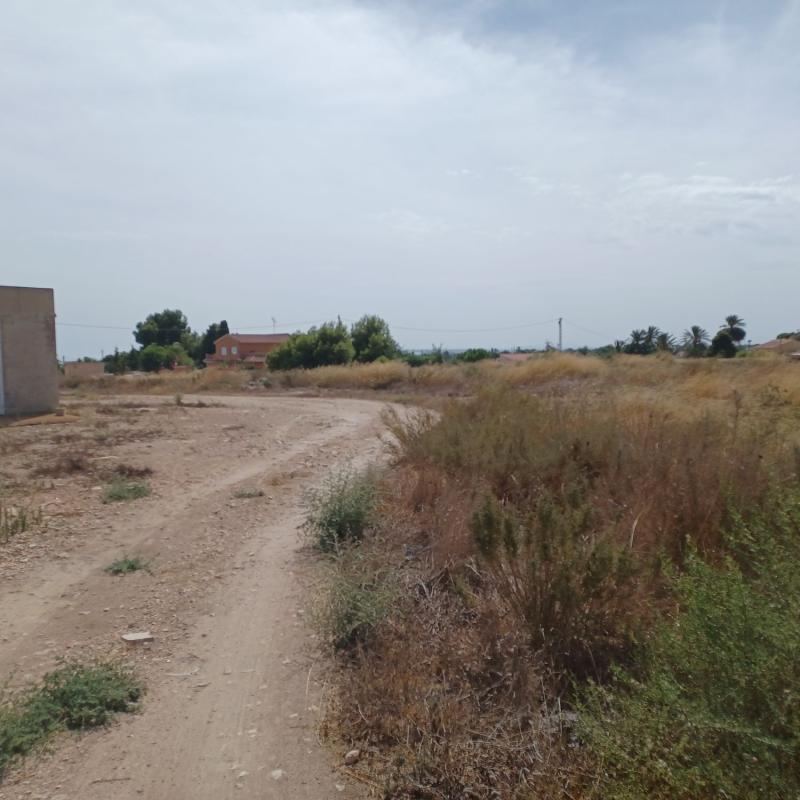 Terreno en venta en Elche / Elx, Alicante photo 1