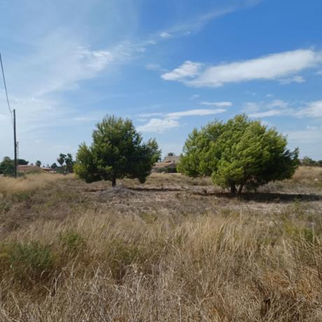 Terreno en Partida Valverde Bajo, 160 Parcela, Valverde, Elche / Elx thumbnail 1