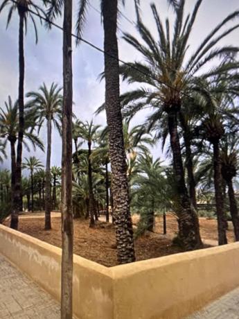 Terreno en Centro, Elche / Elx photo 1