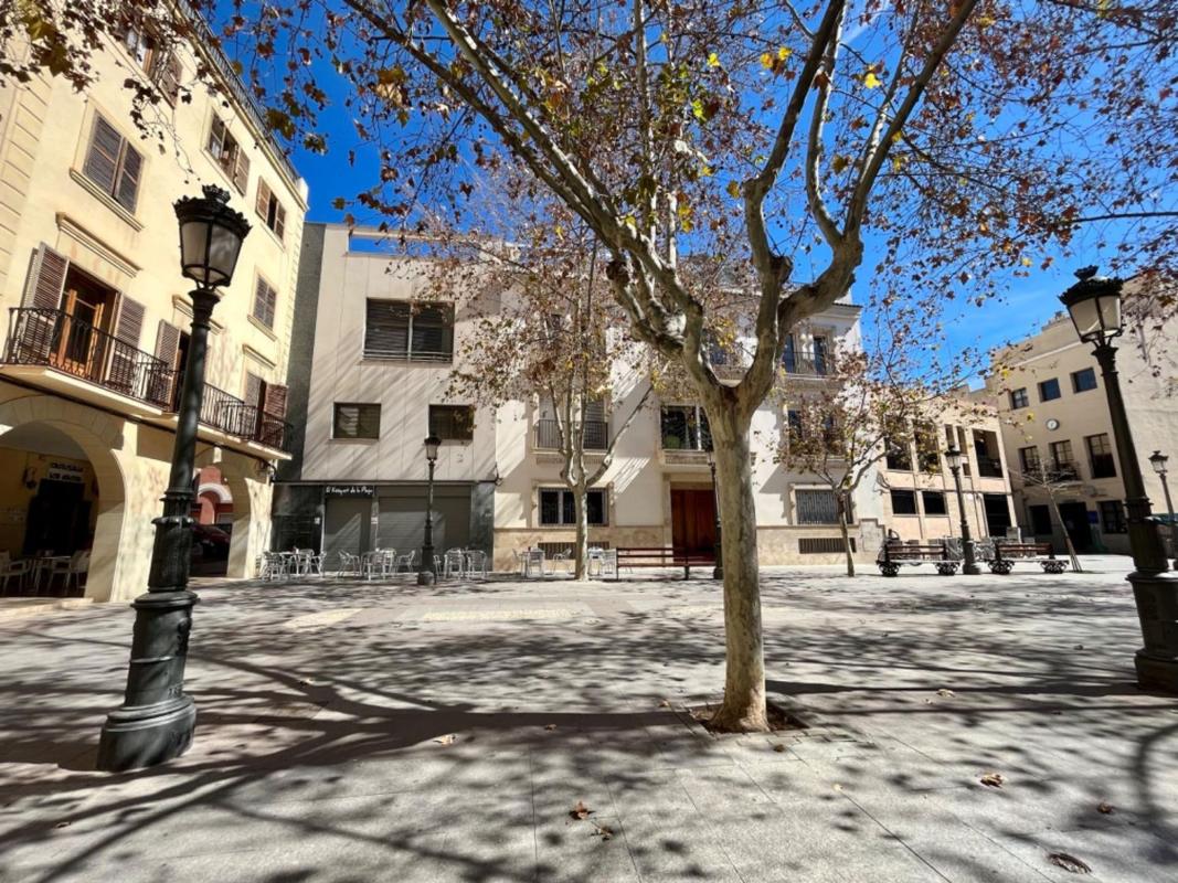 Terreno en venta en Elche / Elx, Alicante photo 4