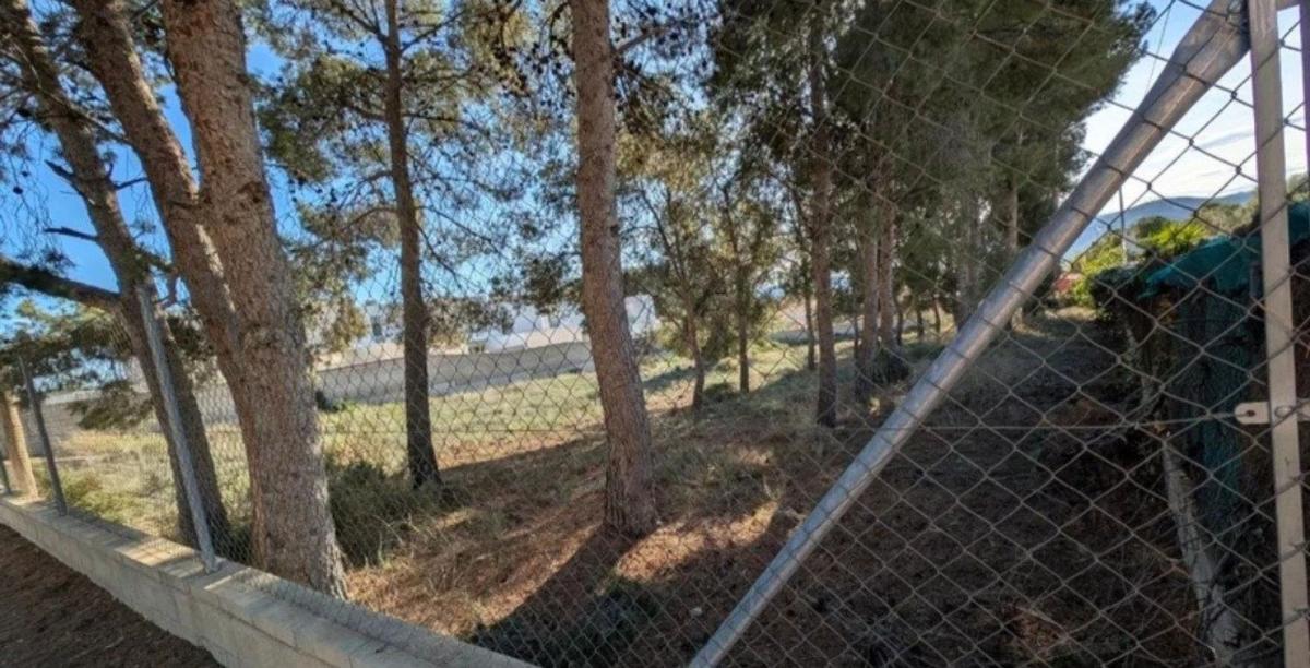 Terreno en venta en Petrer, Alicante photo 4