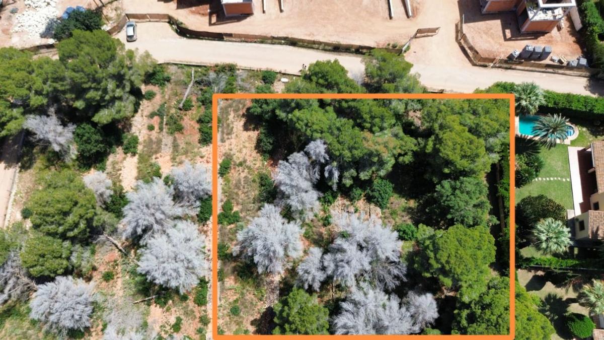 Terreno en venta en Denia, Alicante photo 1