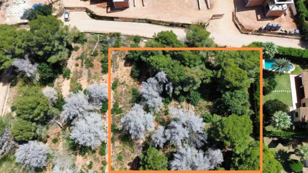 Terreno en Calle Verge s/n, Les Rotes/Las Rotas, Denia photo 1