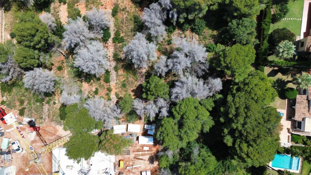 Terreno en venta en Denia, Alicante photo 3
