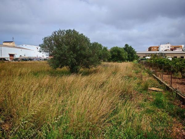 Terreno en Avenida Valencia, 1, El Verger photo 1