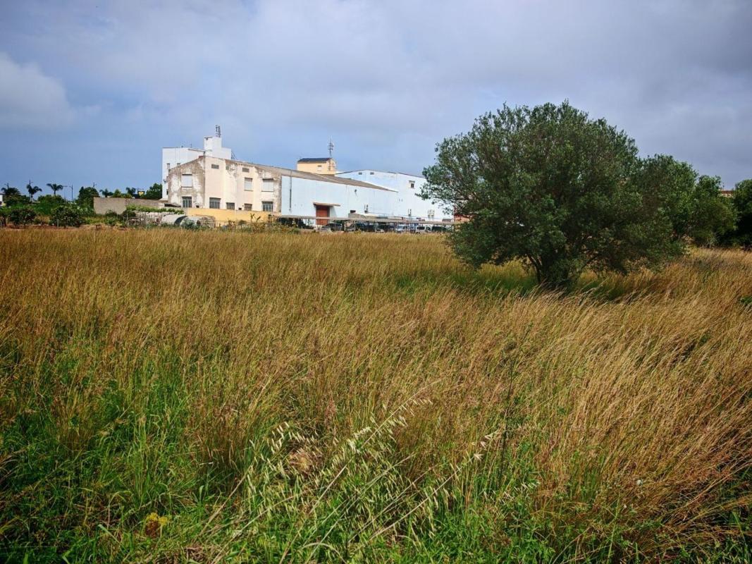 Działka na sprzedaż w El Verger, Alicante photo 4