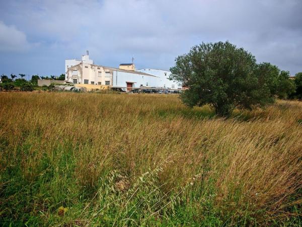 Terreno en Avenida Valencia, 1, El Verger photo 4