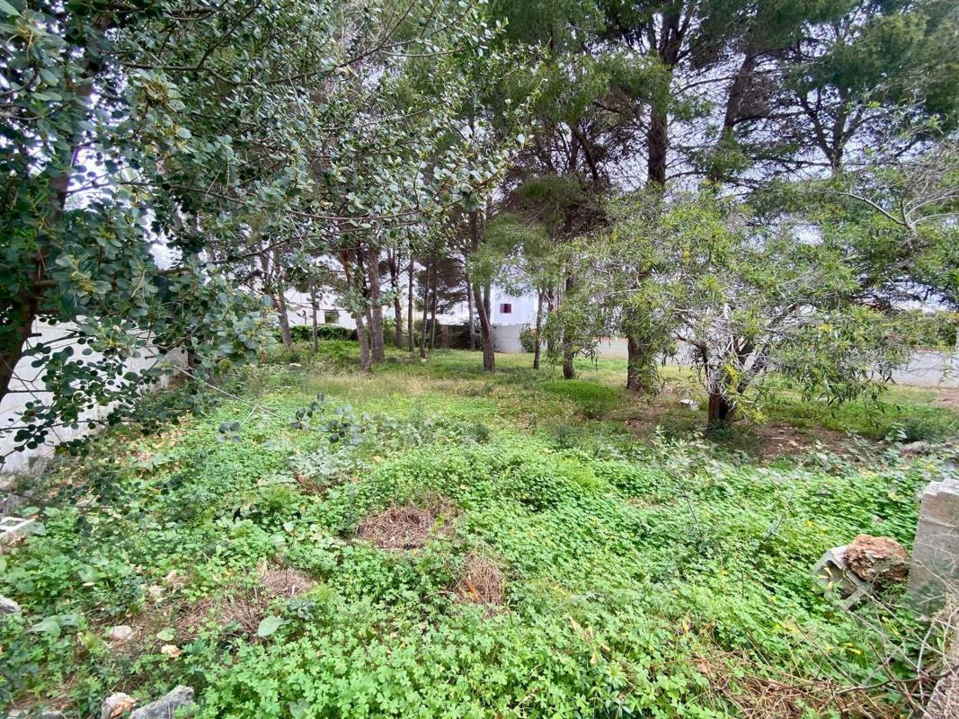 Terreno en venta en Denia, Alicante photo 1