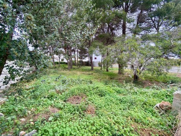 Terreno en Calle Fènix, Les Rotes/Las Rotas, Denia photo 1