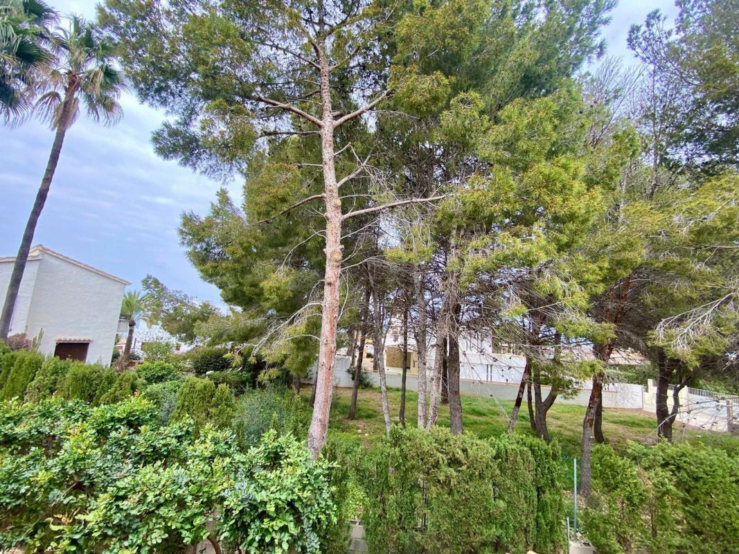 Terreno en venta en Denia, Alicante photo 2