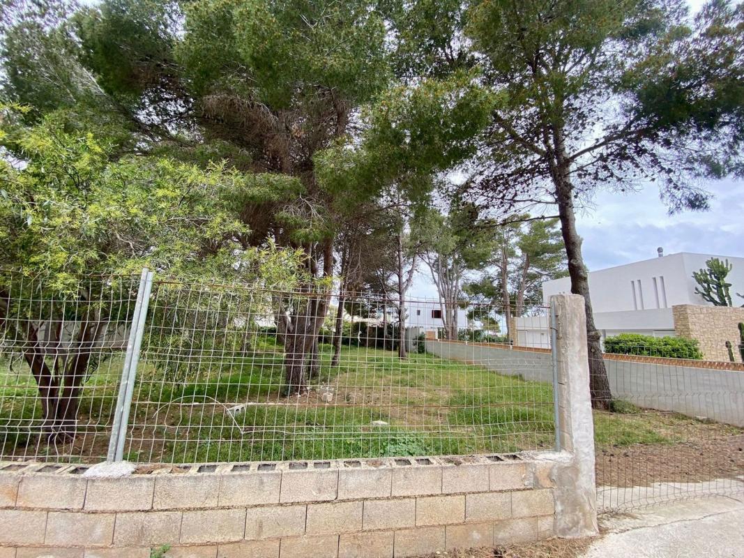 Terreno en venta en Denia, Alicante photo 4