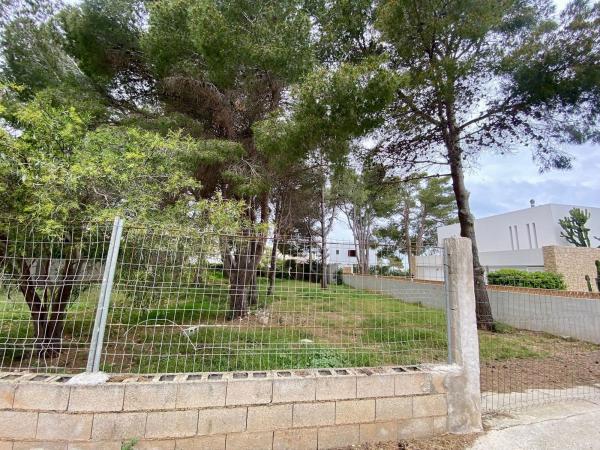 Terreno en Calle Fènix, Les Rotes/Las Rotas, Denia photo 4