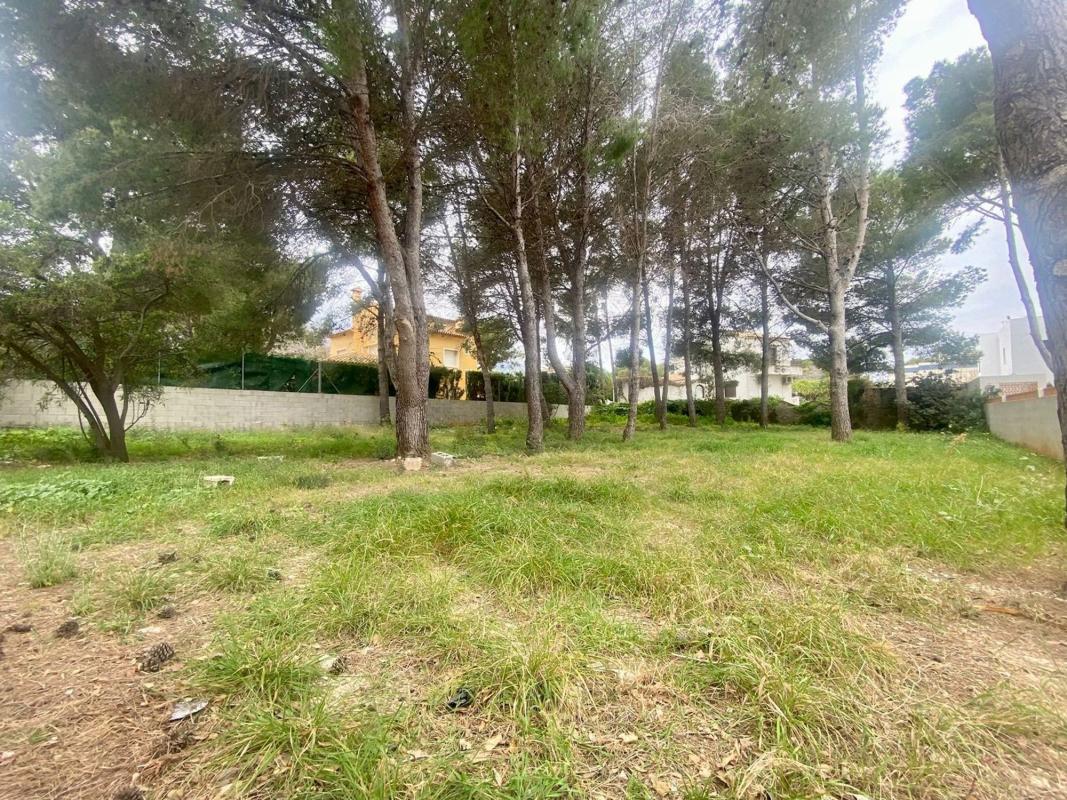 Terreno en venta en Denia, Alicante photo 5