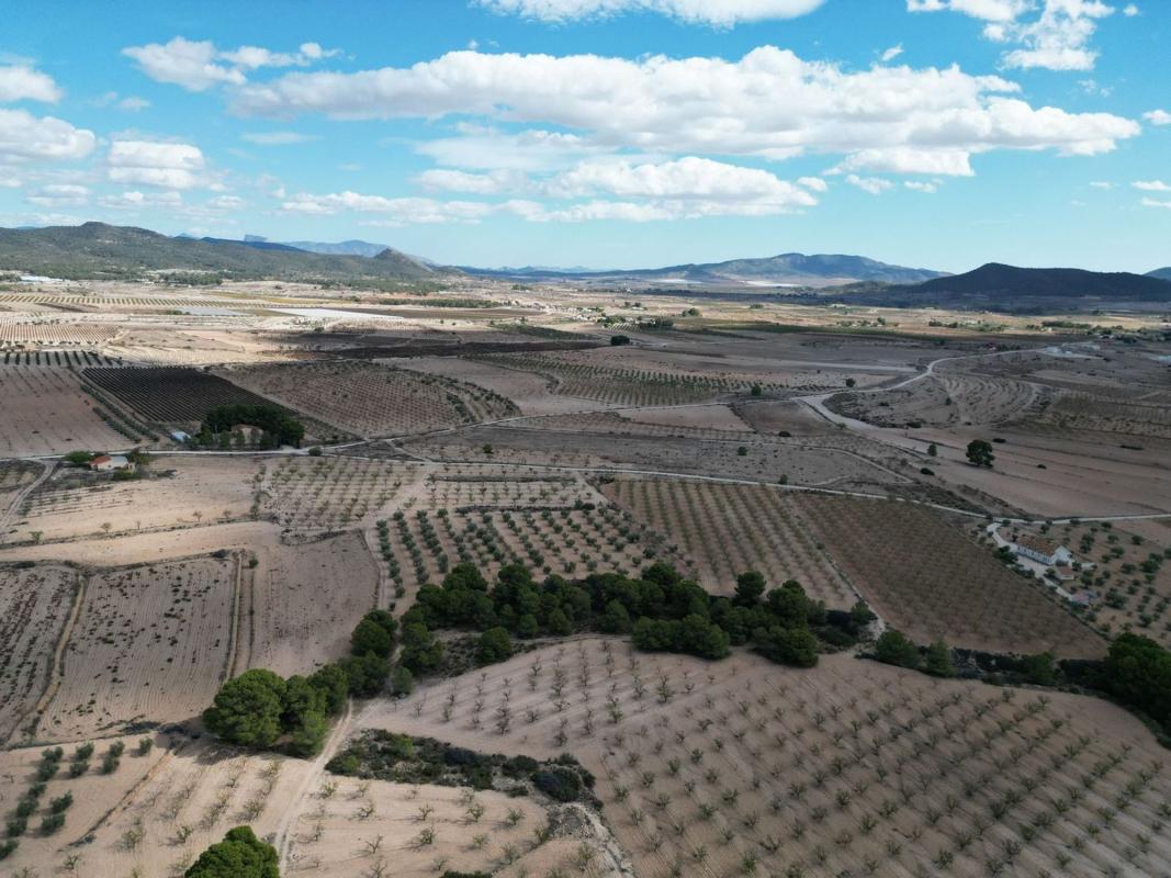 Terreno en venta en Pinoso, Alicante photo 1