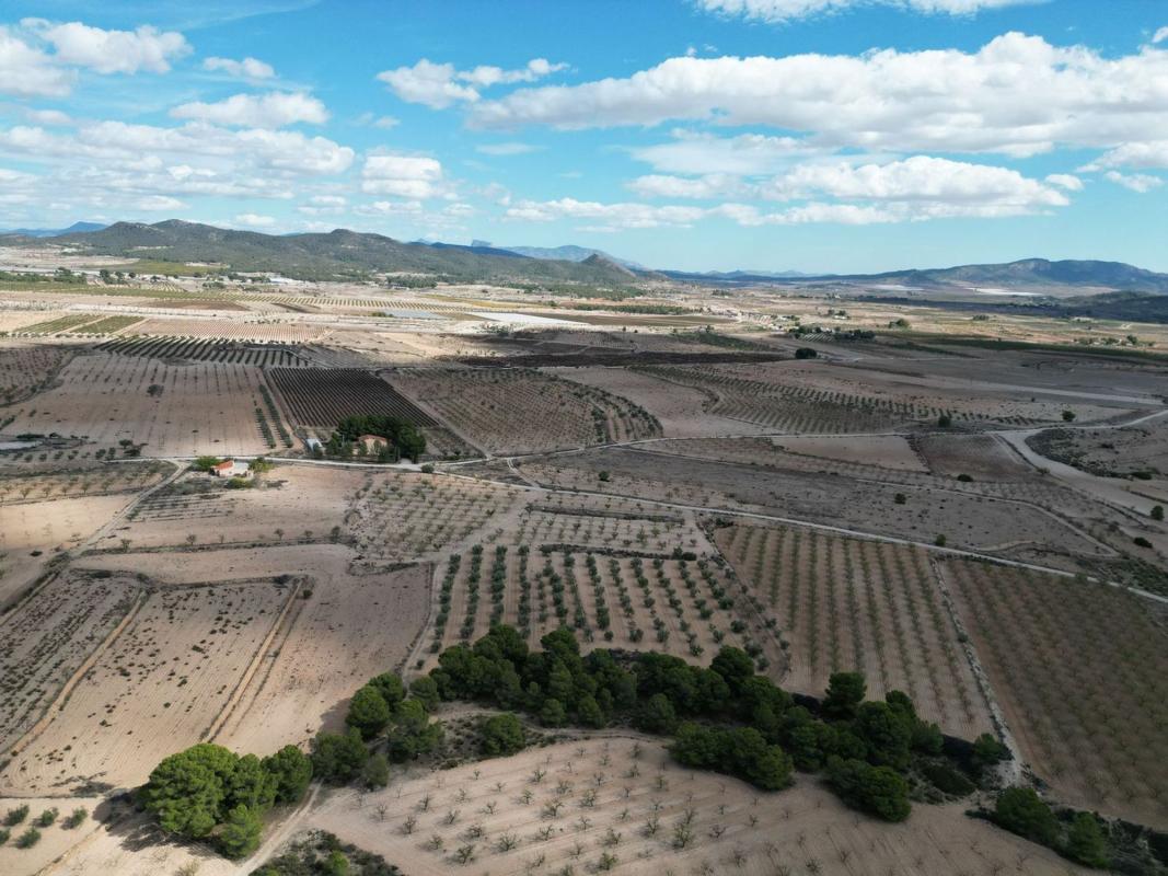 Terreno en venta en Pinoso, Alicante photo 2