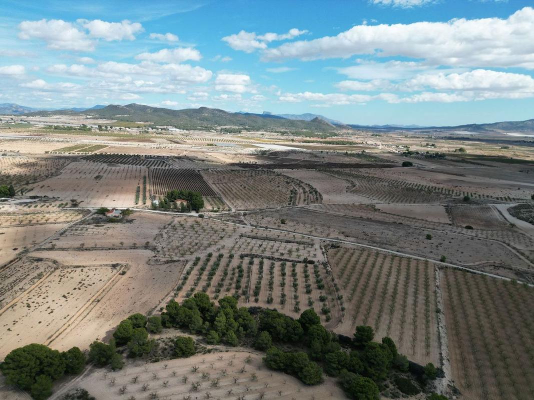 Terreno en venta en Pinoso, Alicante photo 3