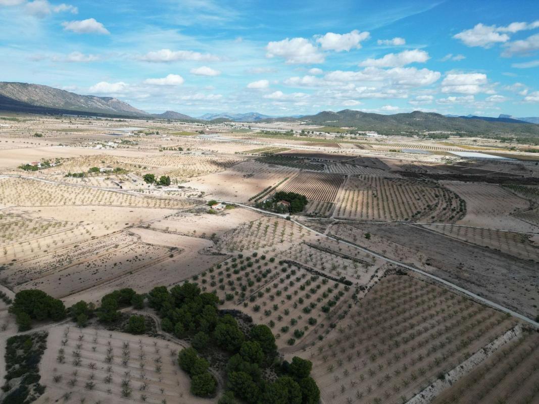 Terreno en venta en Pinoso, Alicante photo 5