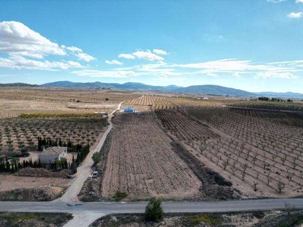 Terreno en Partida Paredon, Pinoso photo 1