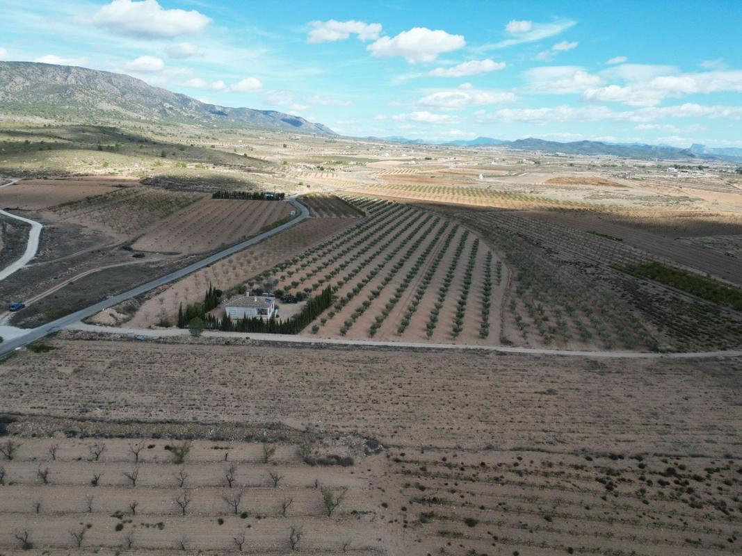 Terreno en venta en Pinoso, Alicante photo 2