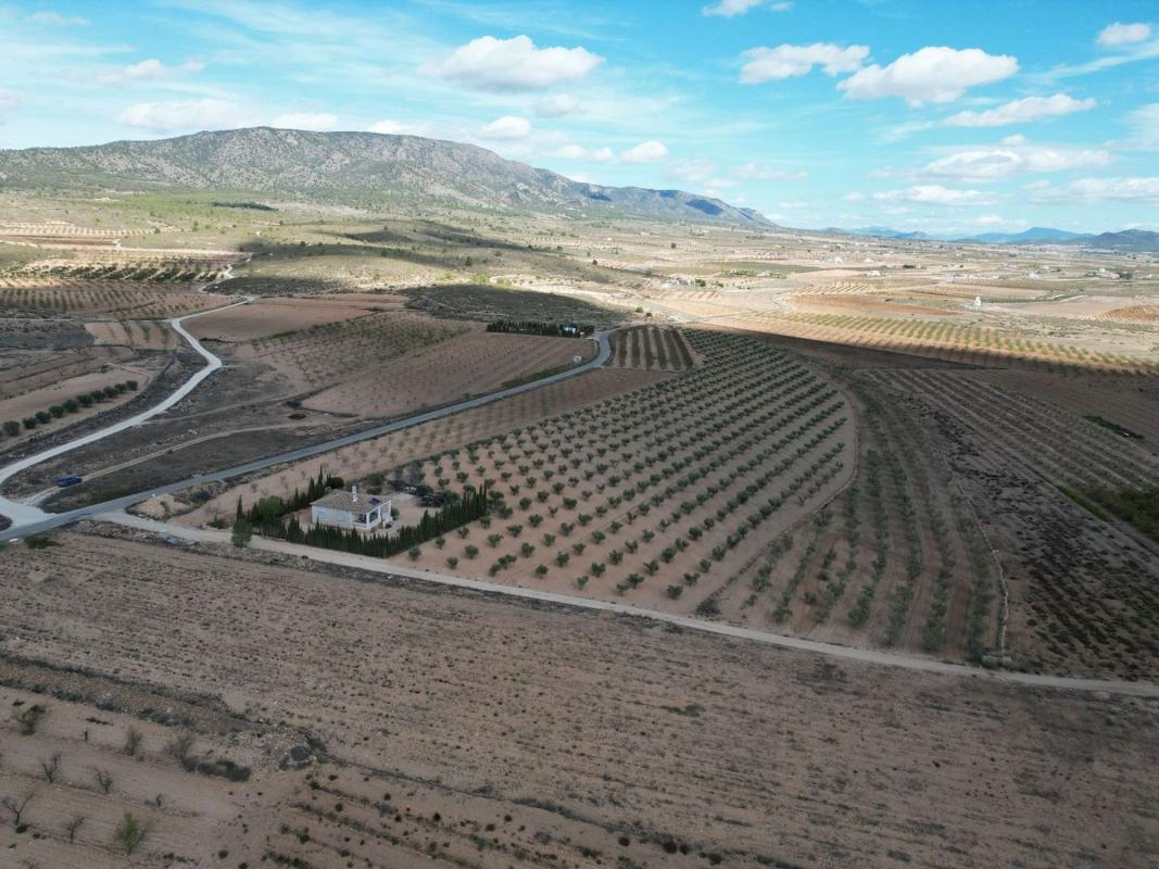 Terreno en venta en Pinoso, Alicante photo 3