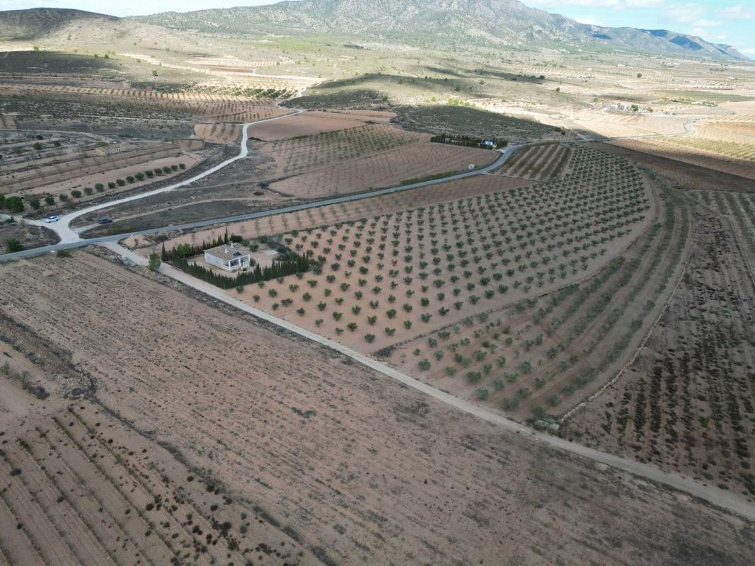 Terreno en venta en Pinoso, Alicante photo 4