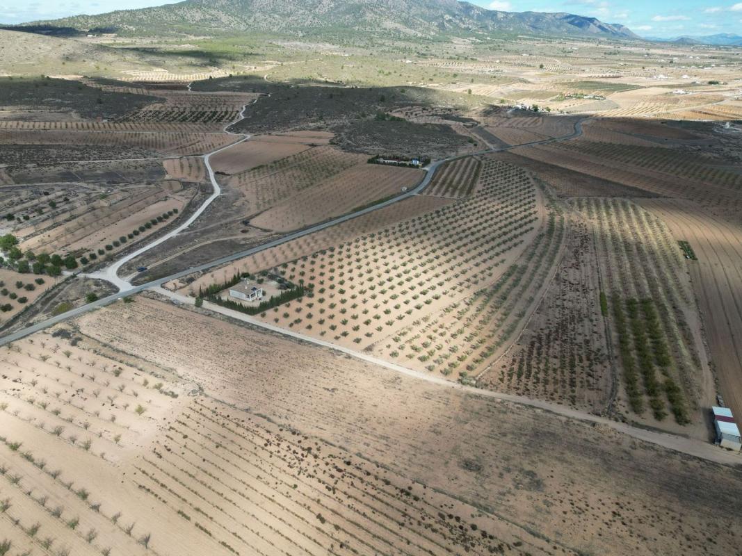 Terreno en venta en Pinoso, Alicante photo 5