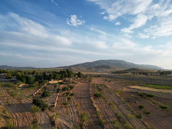 Terreno en Calle Paredon, Pinoso photo 1