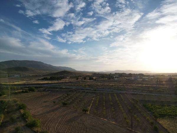 Terreno en Calle Paredon, Pinoso photo 3