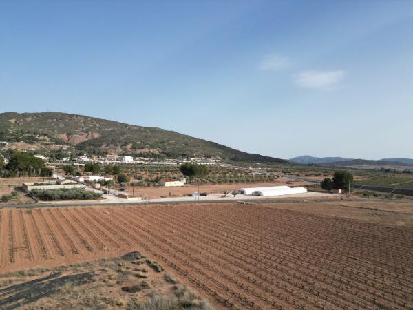 Terreno en Pinoso photo 1