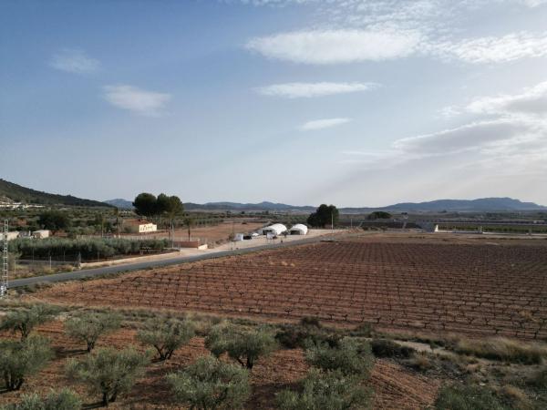 Terreno en Pinoso photo 2
