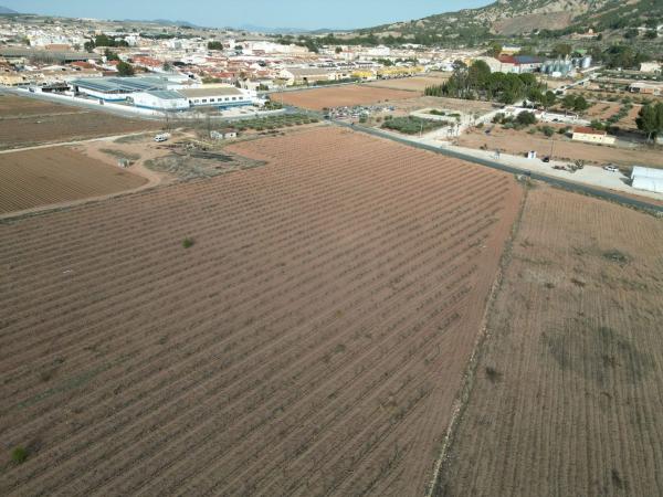 Terreno en Pinoso photo 4