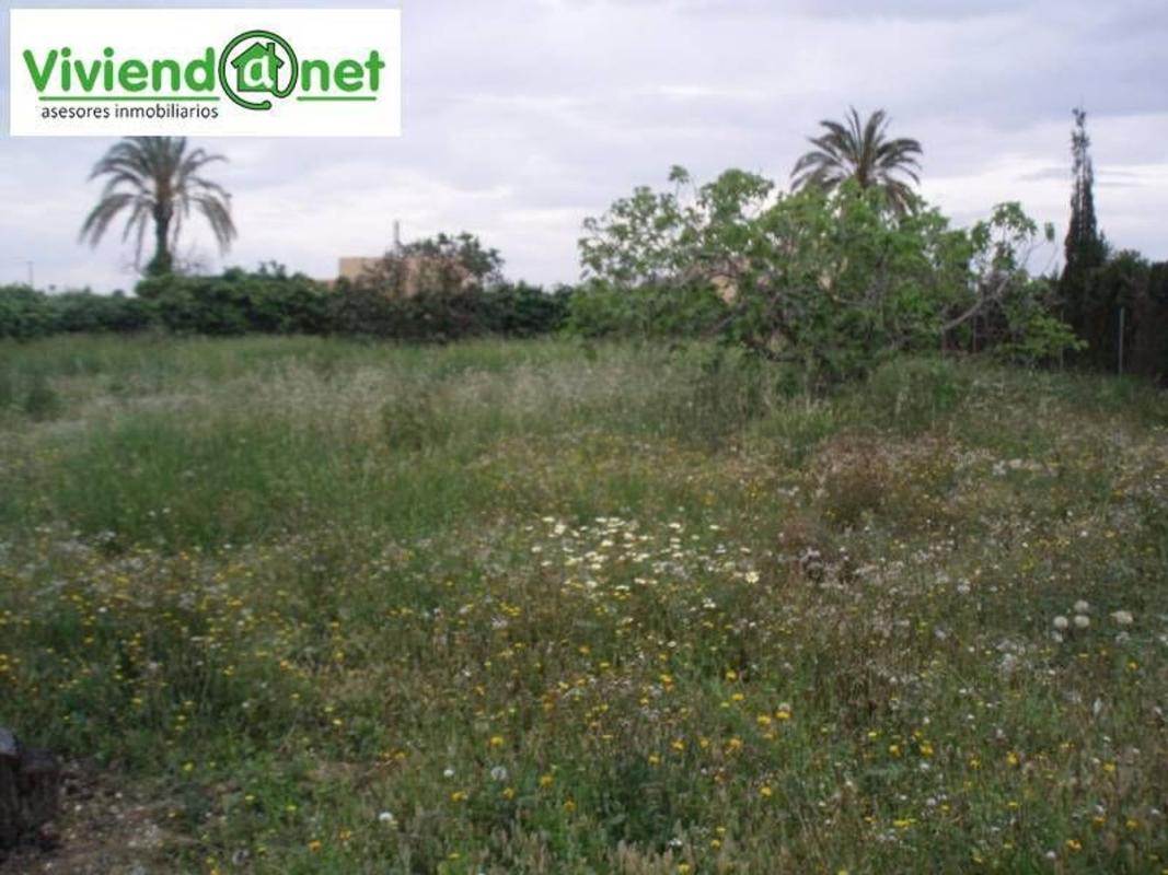 Terreno en venta en Elche / Elx, Alicante photo 1