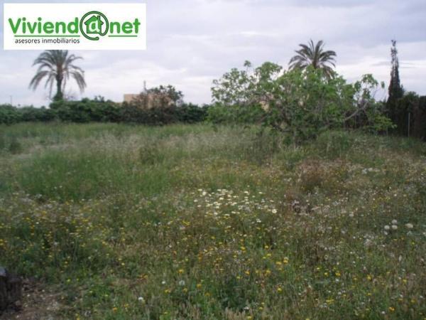 Terreno en Peña de Las Águilas, Elche / Elx photo