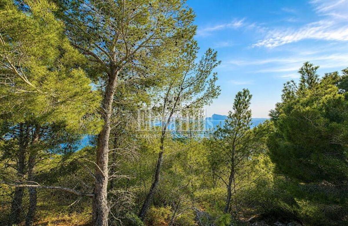 Land for sale in Altea, Alicante photo 3