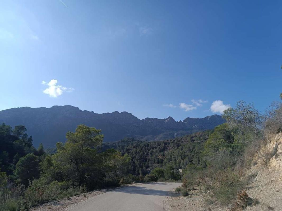 Land for sale in Llíber, Alicante photo 1