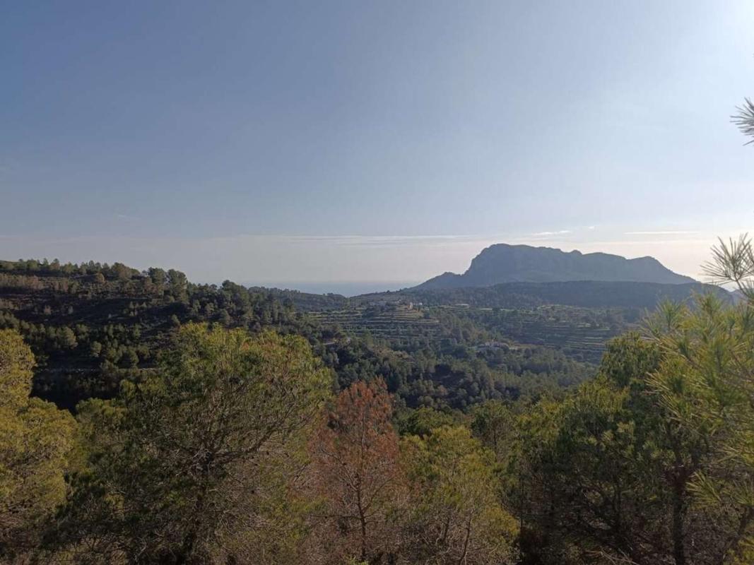 Land for sale in Llíber, Alicante photo 2