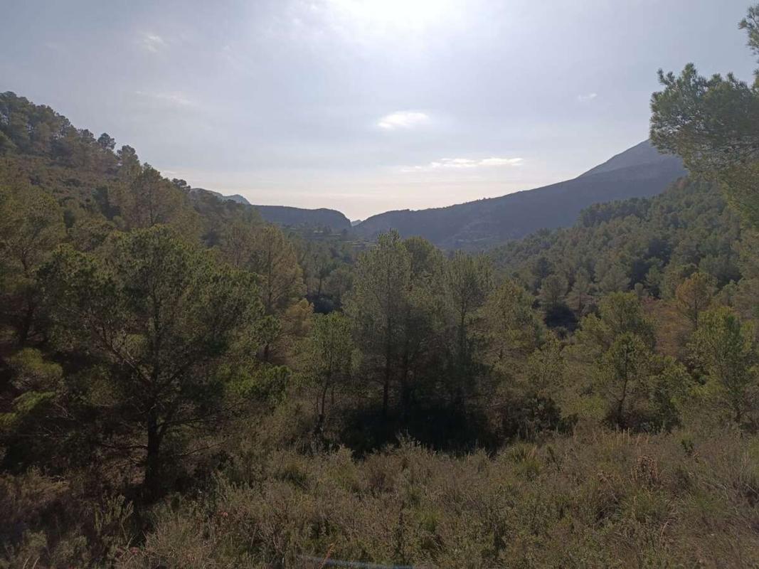 Land for sale in Llíber, Alicante photo 3